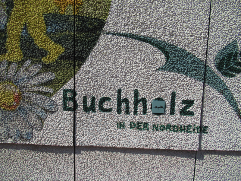 Buchholz Ameise